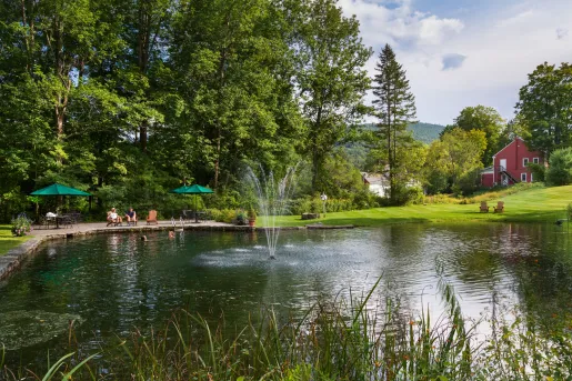 Lake with a fountain in the center, with tall trees in the background