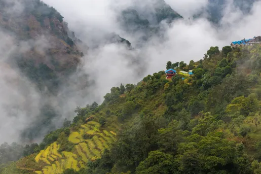 Hills with thick forest and houses on top, with fog in the background