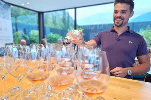 Wine tasting experience featuring a server pouring rosé wine into multiple glasses arranged on a wooden table. Large windows overlook a scenic outdoor landscape in the background.  Provide your feedback on BizChat