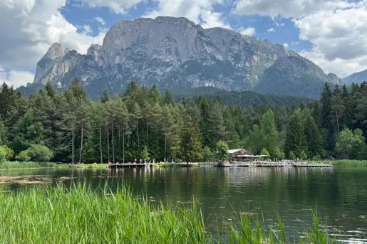 Mountain lake bordered by reeds and dense pine forest, with a dramatic limestone massif rising behind the shoreline. The calm water reflects the surrounding landscape beneath a sky filled with scattered clouds.
