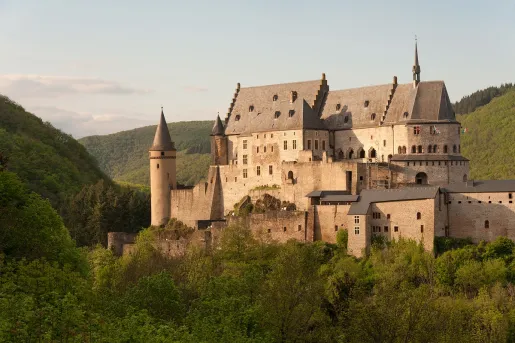 Castle-like building on top of a hill surrounded by tall trees
