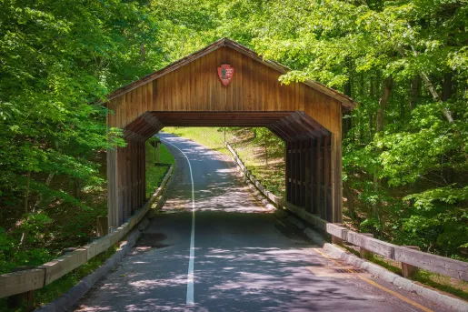 Empty road in the middle of a forest, with a wooden arch over a bridge