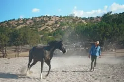 Four Seasons Resort Rancho Encantado