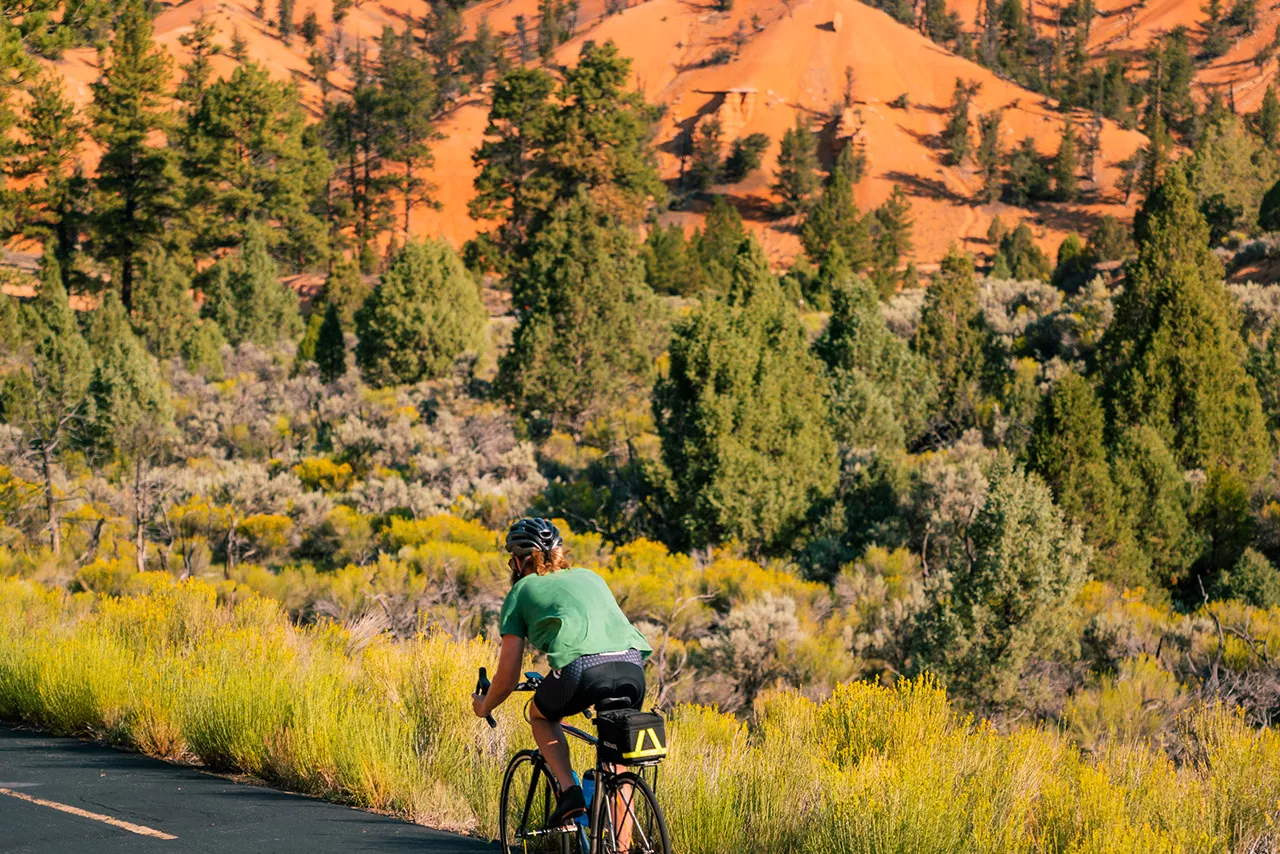 Grand canyon bike tours top