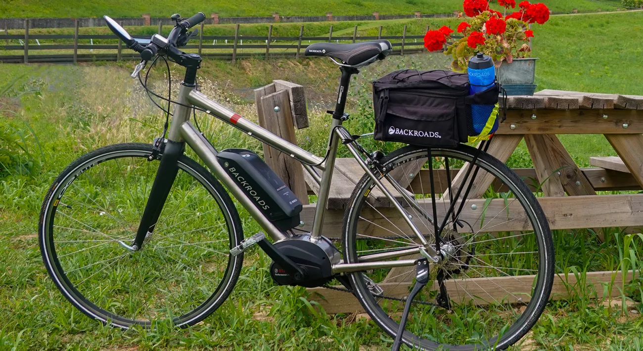 Backroads ebikes clearance