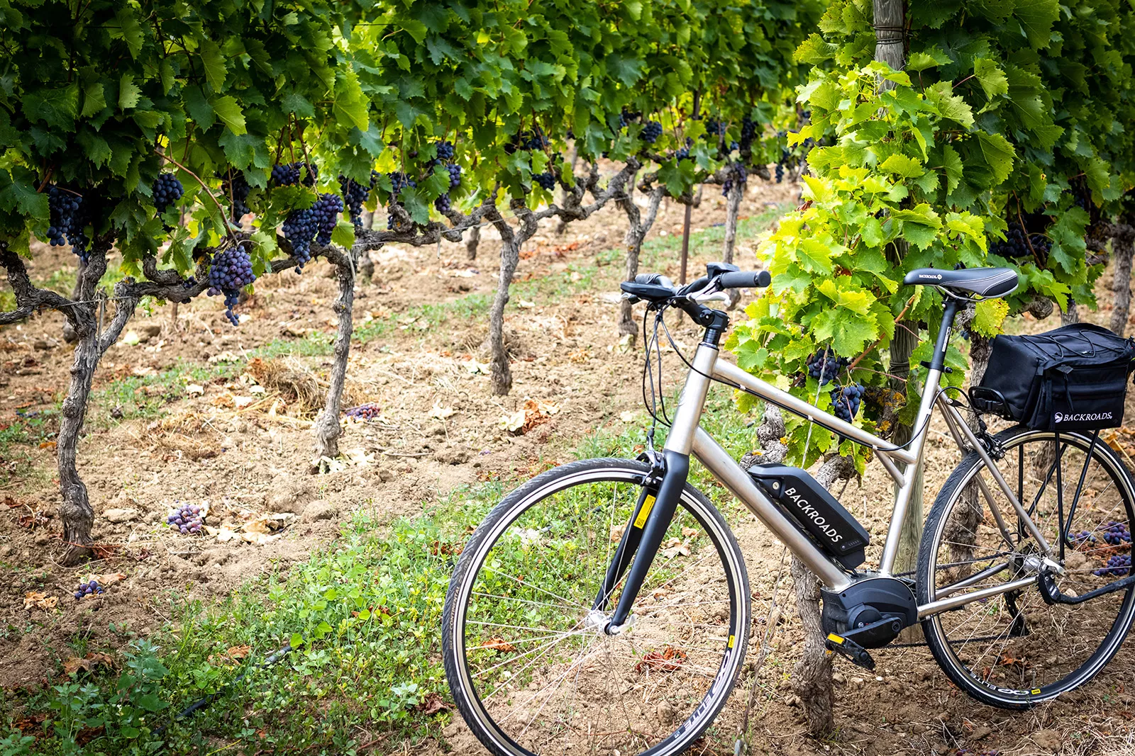 Backroads ebikes clearance