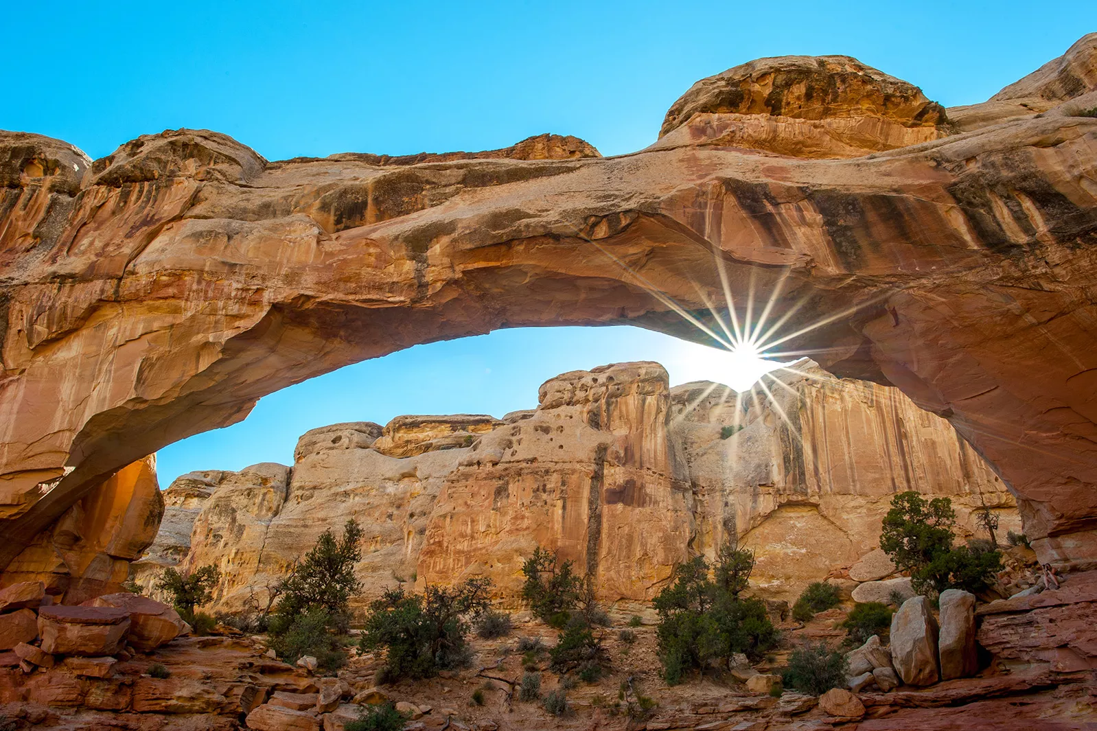 Capitol reef national park hiking trails hotsell