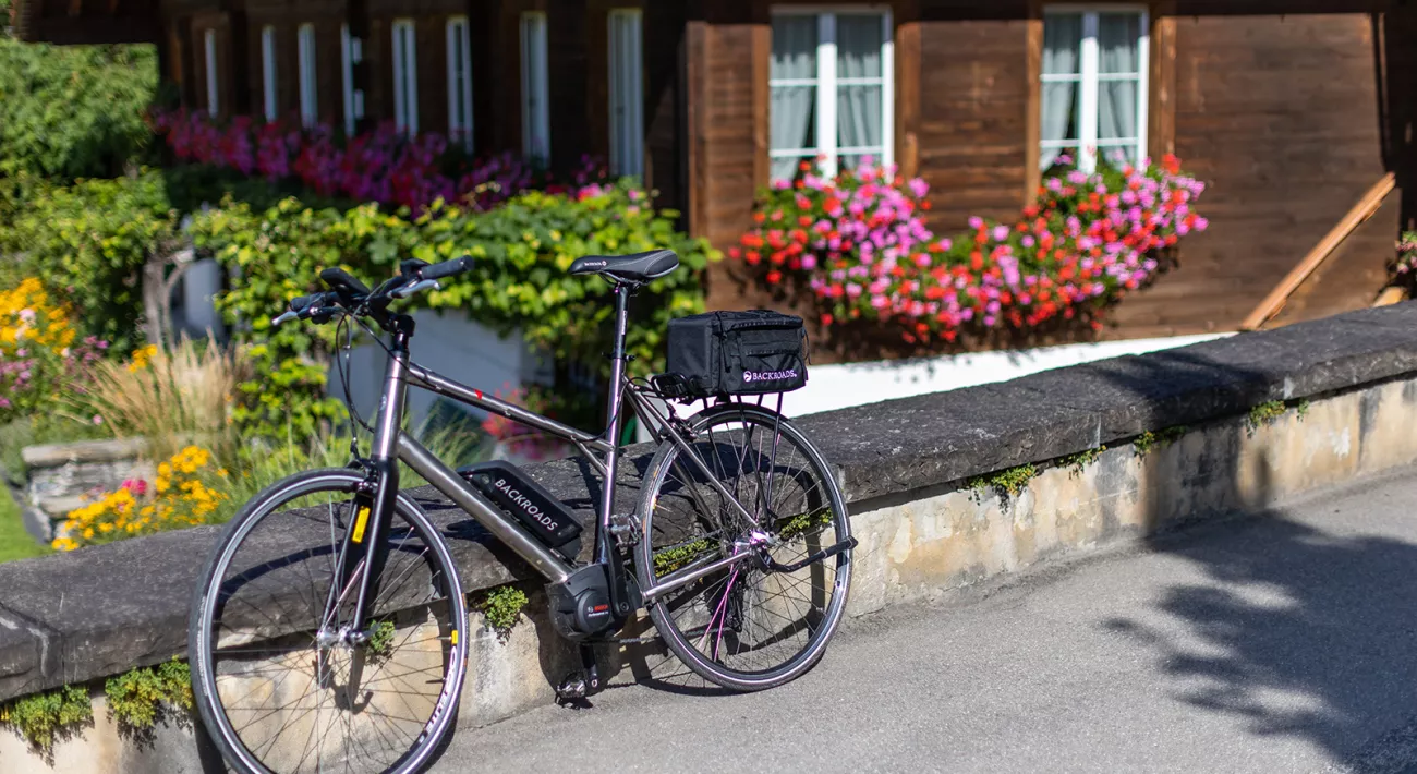 Backroads ebikes top