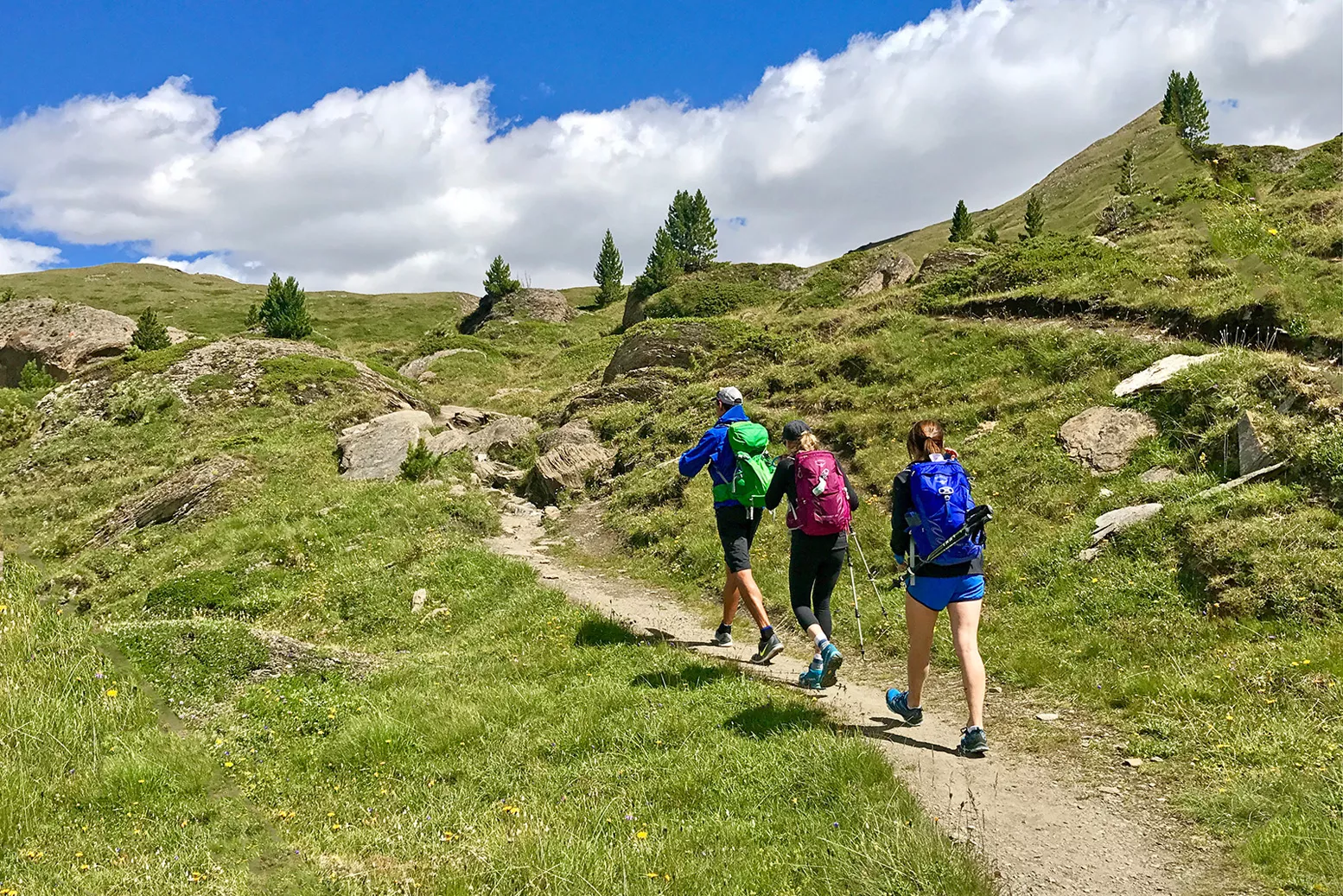 Hiking in the deals swiss alps