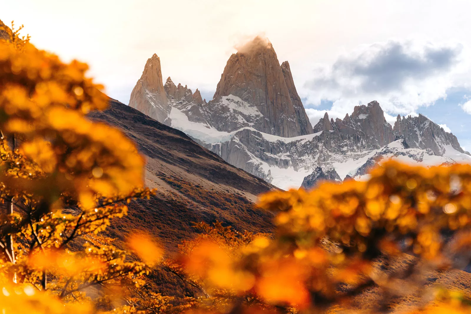 Trees with orange leaves on a hill, with snow-capped mountains in the distance
