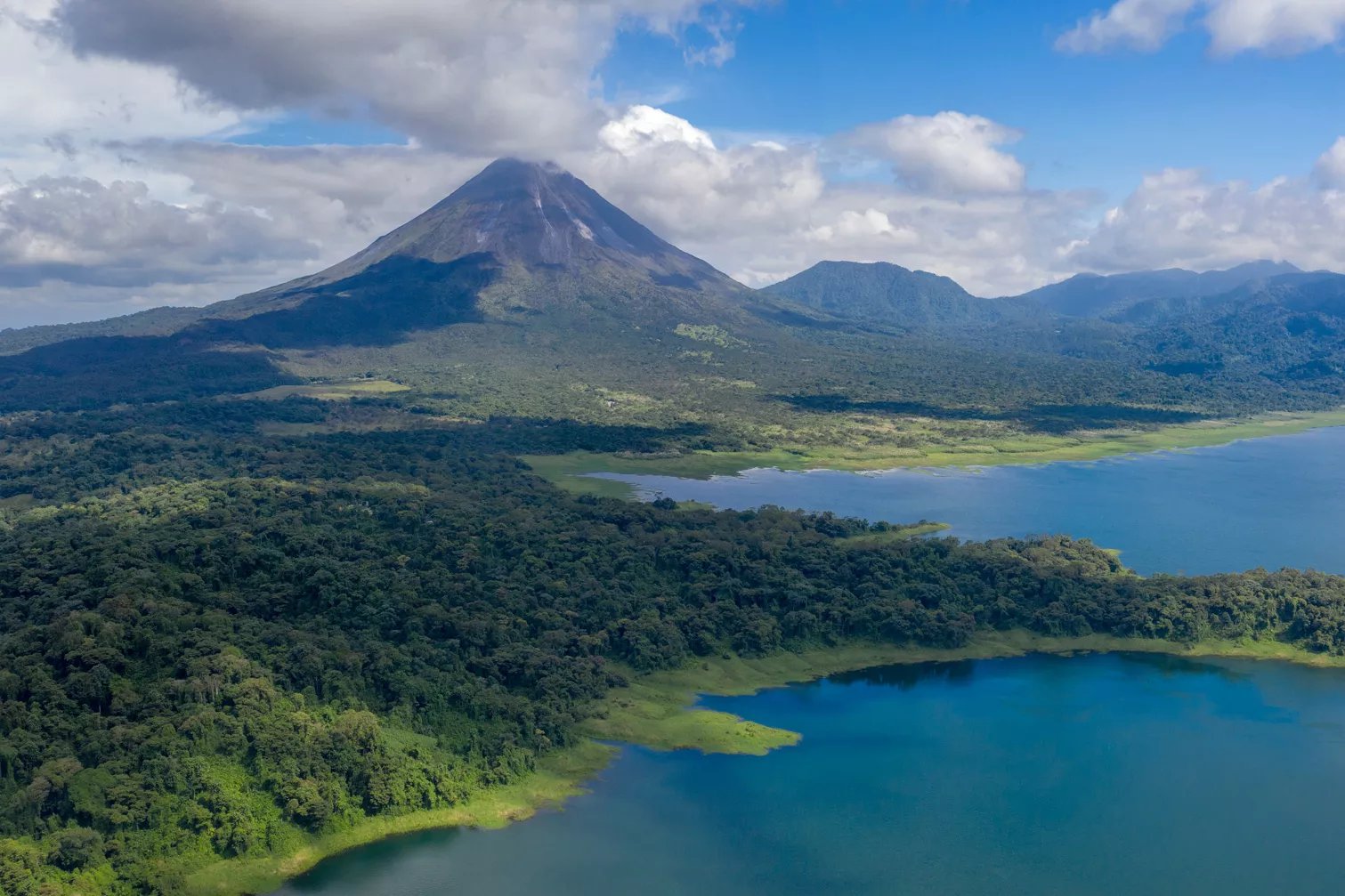 Sky view of forest surrounded by a large lake