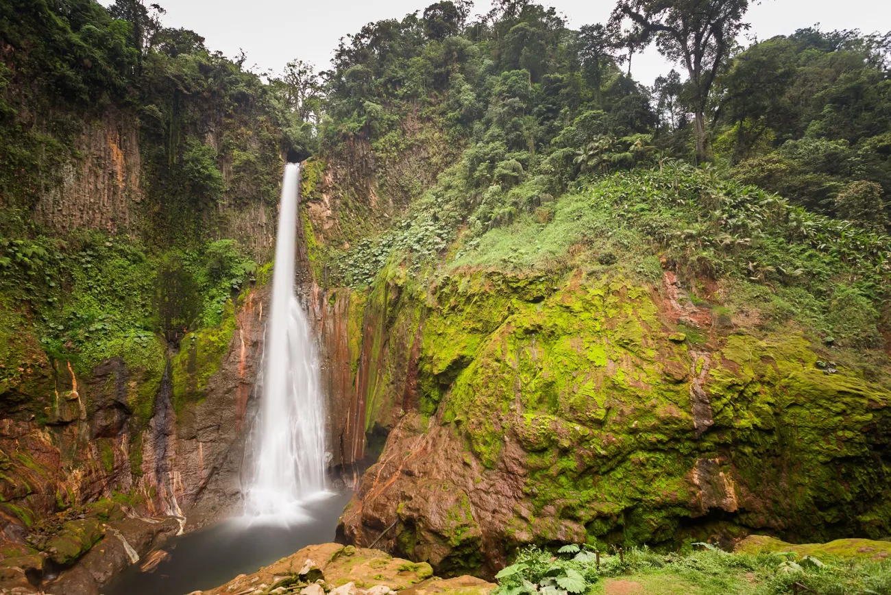 Waterfall in the middle of a forest, surrounded by green trees