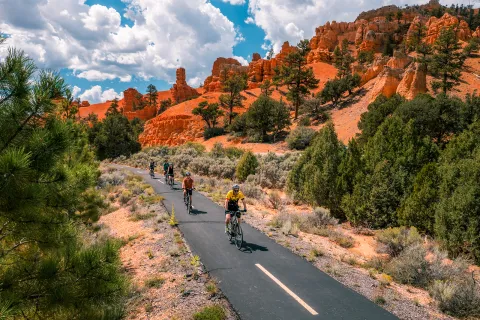 Five guests cycling down road, vibrant orange rocks behind them, trees beside them.