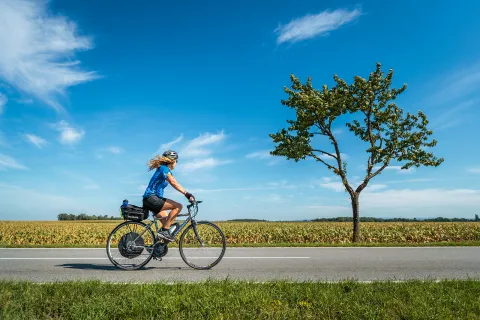 Biker riding on a clear sunny day with a field and a tree in background.