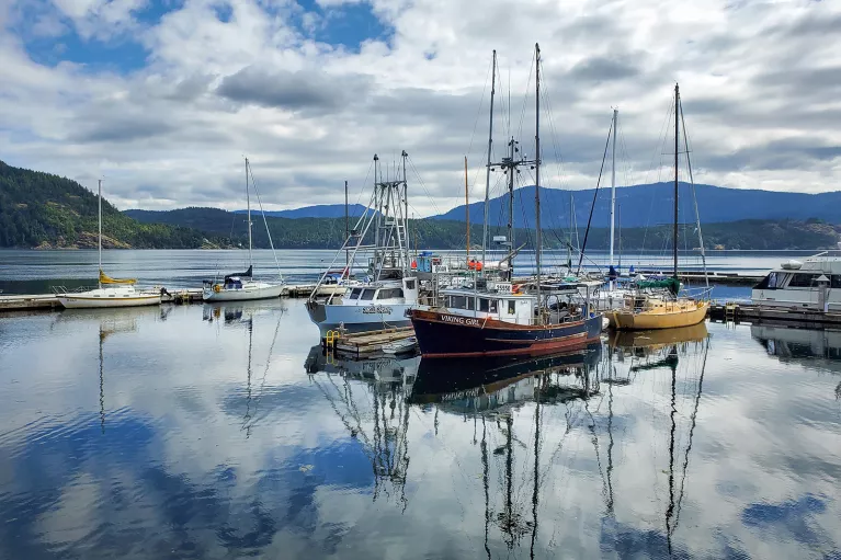 Wide shot of sailboats on the water.