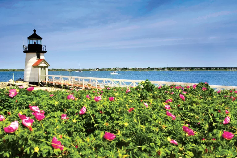 Wide shot of small lighthouse, pink flower bushes in foreground.