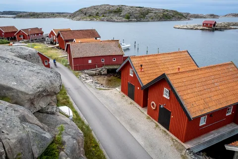 Row of red houses along a rocky shore in Norway