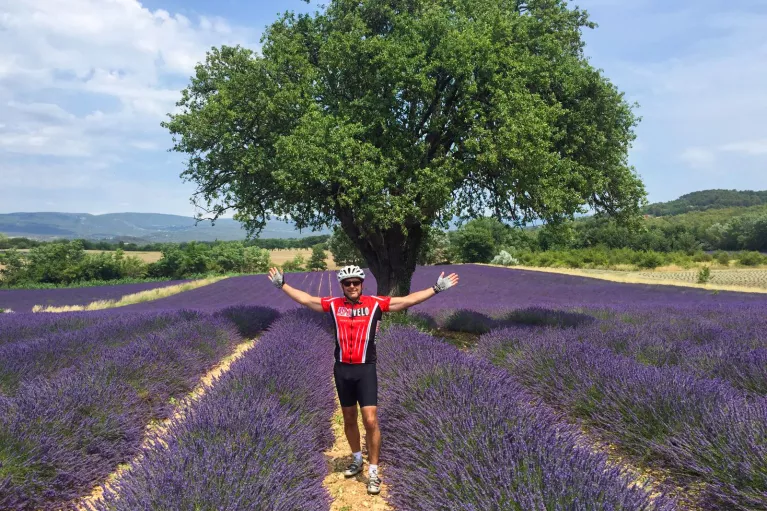 Backroads Guest in Lavender Field