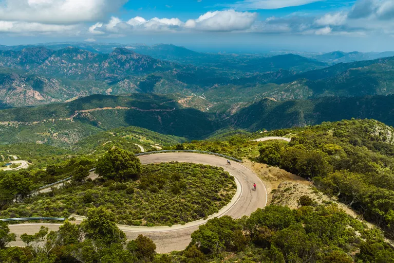 Two guests cycling down road on tree-filled vista.