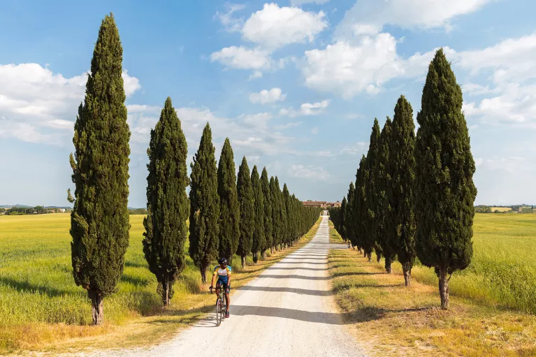 Guest cycling down lone, tree-lined road.