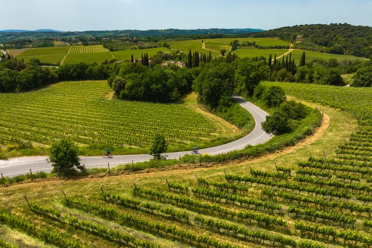 Two guests cycling down vineyard road towards villa.