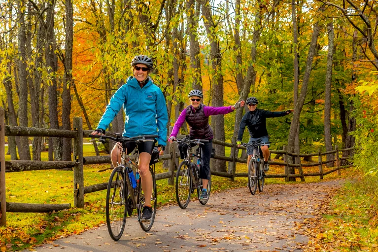 Three guests cycling down forest road, all smiling at camera, two signaling left turn.