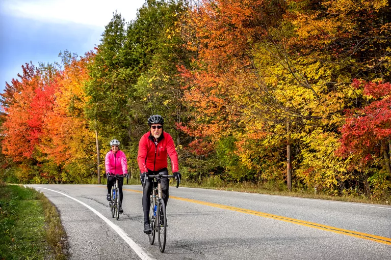 Two guests cycling down road, fall-colored trees to their left.