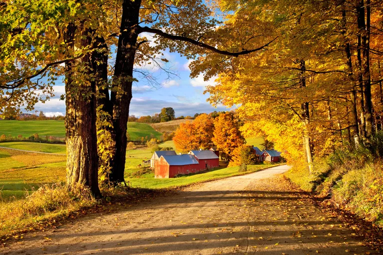 Wide shot of road, farmhouse, trees, hills in distance.