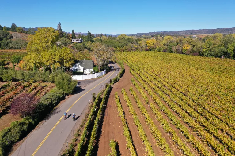 Two guests cycling down vineyard road.