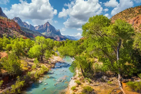 Wide shot of desert valley, blue stream, trees, cloudy sky.