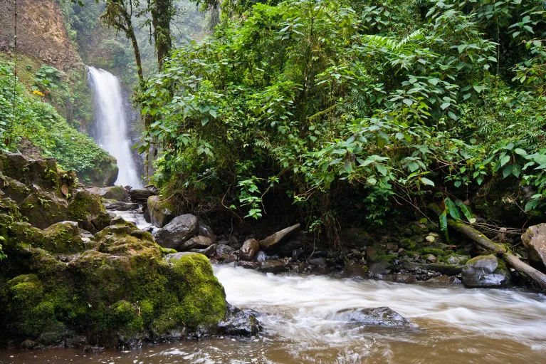 Waterfall  from Trail Costa Rica