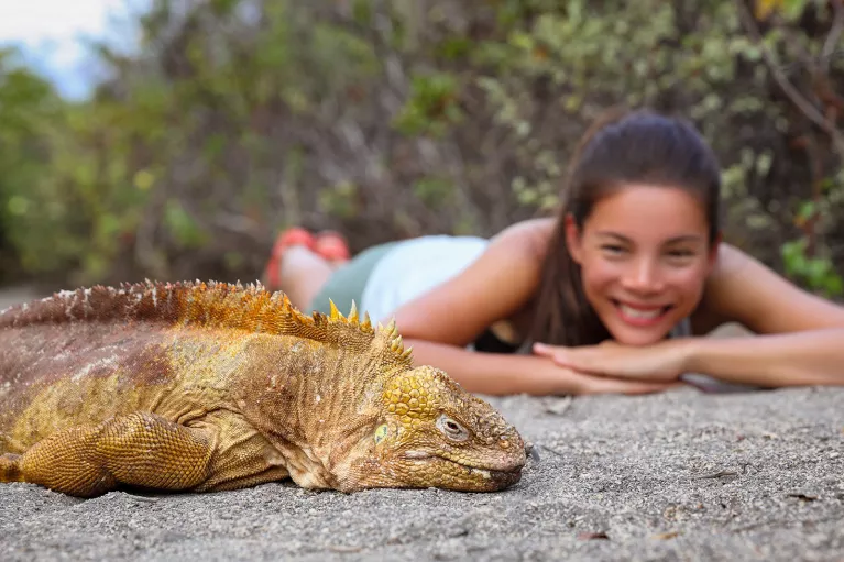 Guest Lying by Iguana Ecuador