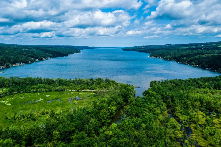 Wide shot of river, forest in foreground.