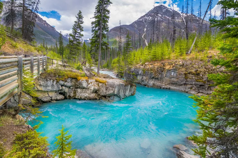 Shot of vibrant blue pool ion the wild, wooden bridge, trees, mountains.