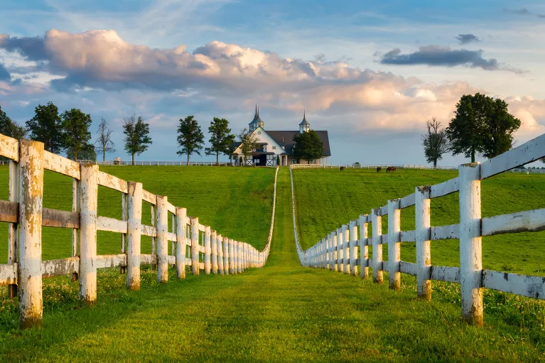 Wide shot of the Kentucky House Farm.