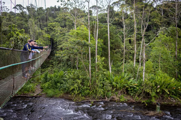 Everyone Looking Down River From Suspension Bridge