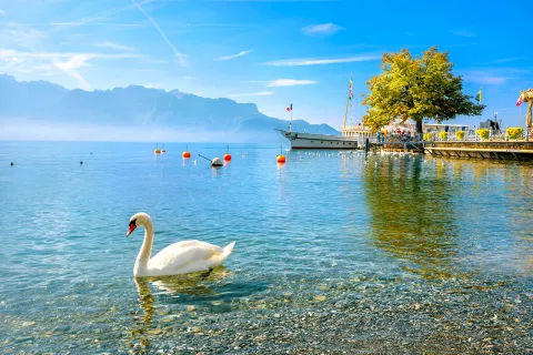 Sunny Lake Geneva, pier in background.