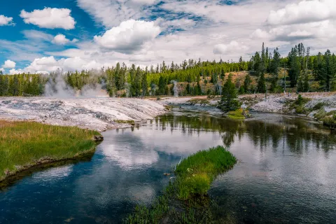 A pond and hot springs