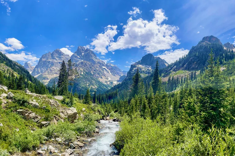 Creek rushing through green landscape