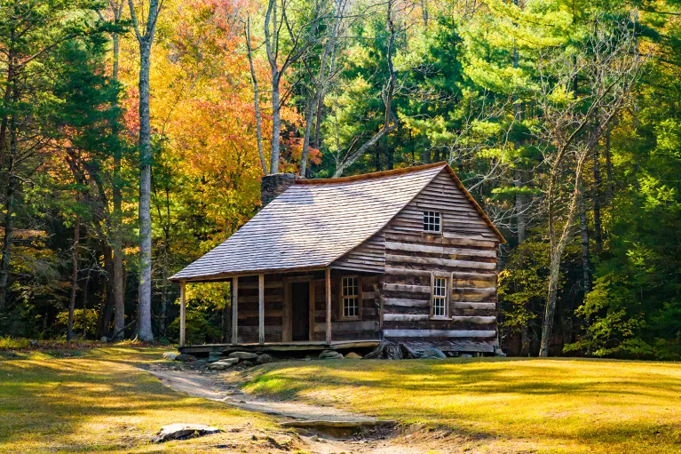 Shot of log house surrounded by forest.