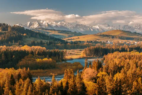Forested path with small huts in the foreground and Dolomites in the horizon.