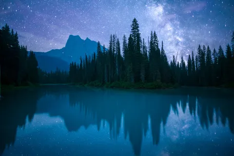 Lake, mountain, forest, vibrant nighttime vista.