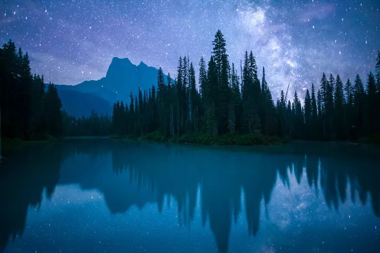 Lake, mountain, forest, vibrant nighttime vista.