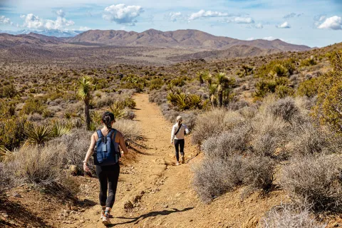 Two guests hiking on desert trail, vast desert landscape all around.