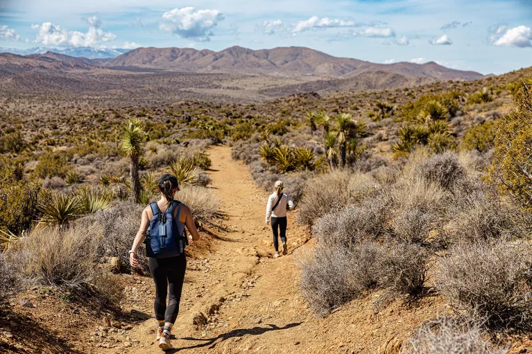 Two guests hiking on desert trail, vast desert landscape all around.