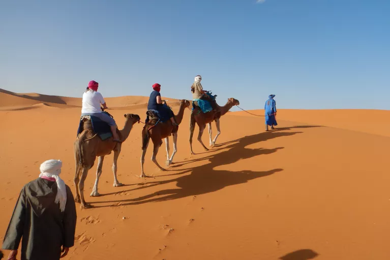 A line of travelers on camels in dunes