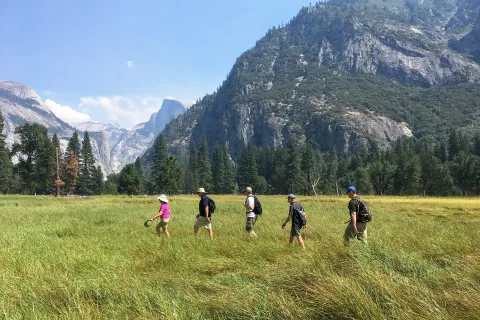 Guests hiking through grassy field, mountains in background.