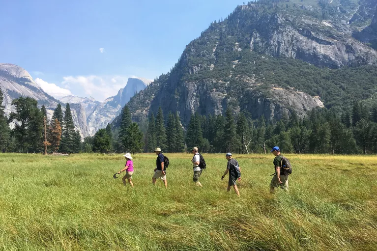 Guests hiking through grassy field, mountains in background.