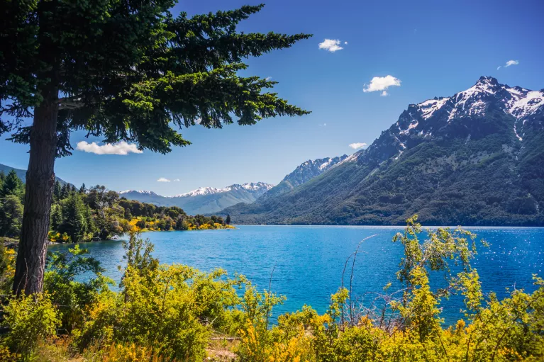 Large, blue lake surrounded by trees and a tall mountain