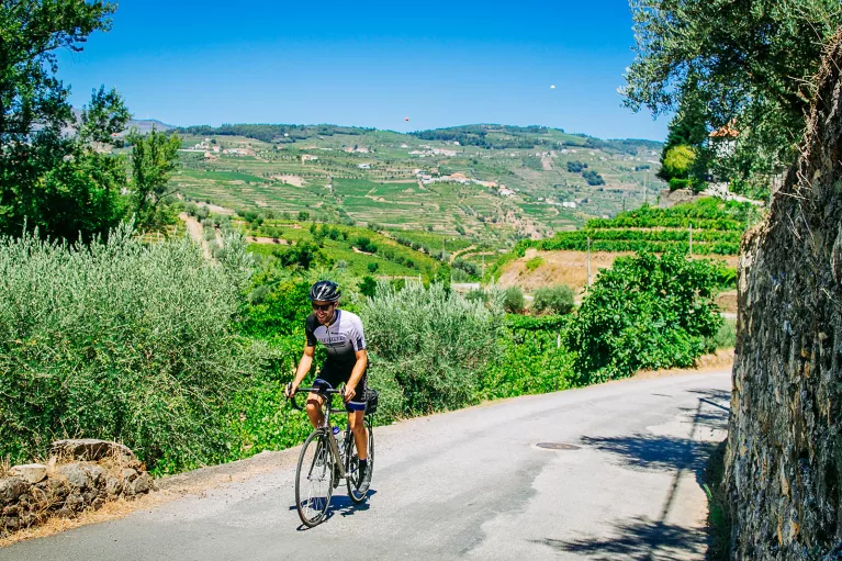 Man riding bike on a road with crops in the distance